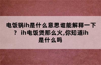 电饭锅ih是什么意思谁能解释一下？ ih电饭煲那么火,你知道ih是什么吗